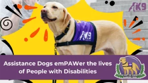 A fundraising banner from K9 Assistance, featuring a golden retriever in a purple harness that says ‘K9 Assistance’. The banner says, ‘Assistance dogs emPAWer the lives of People with Disabilities’.